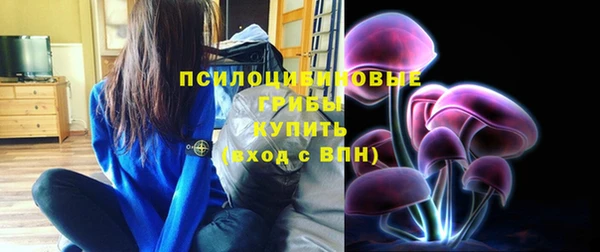 бошки Красноперекопск