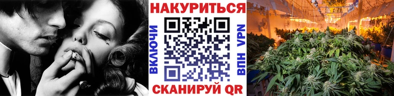Конопля MAZAR  Купить где  Олонец 